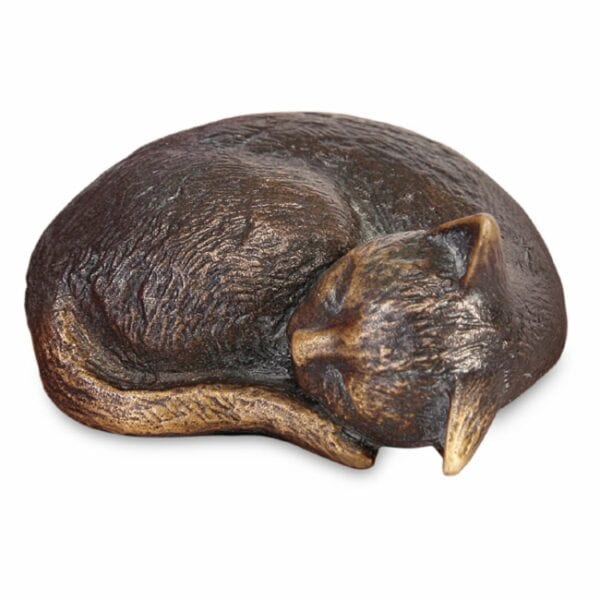 Kat – Image 2